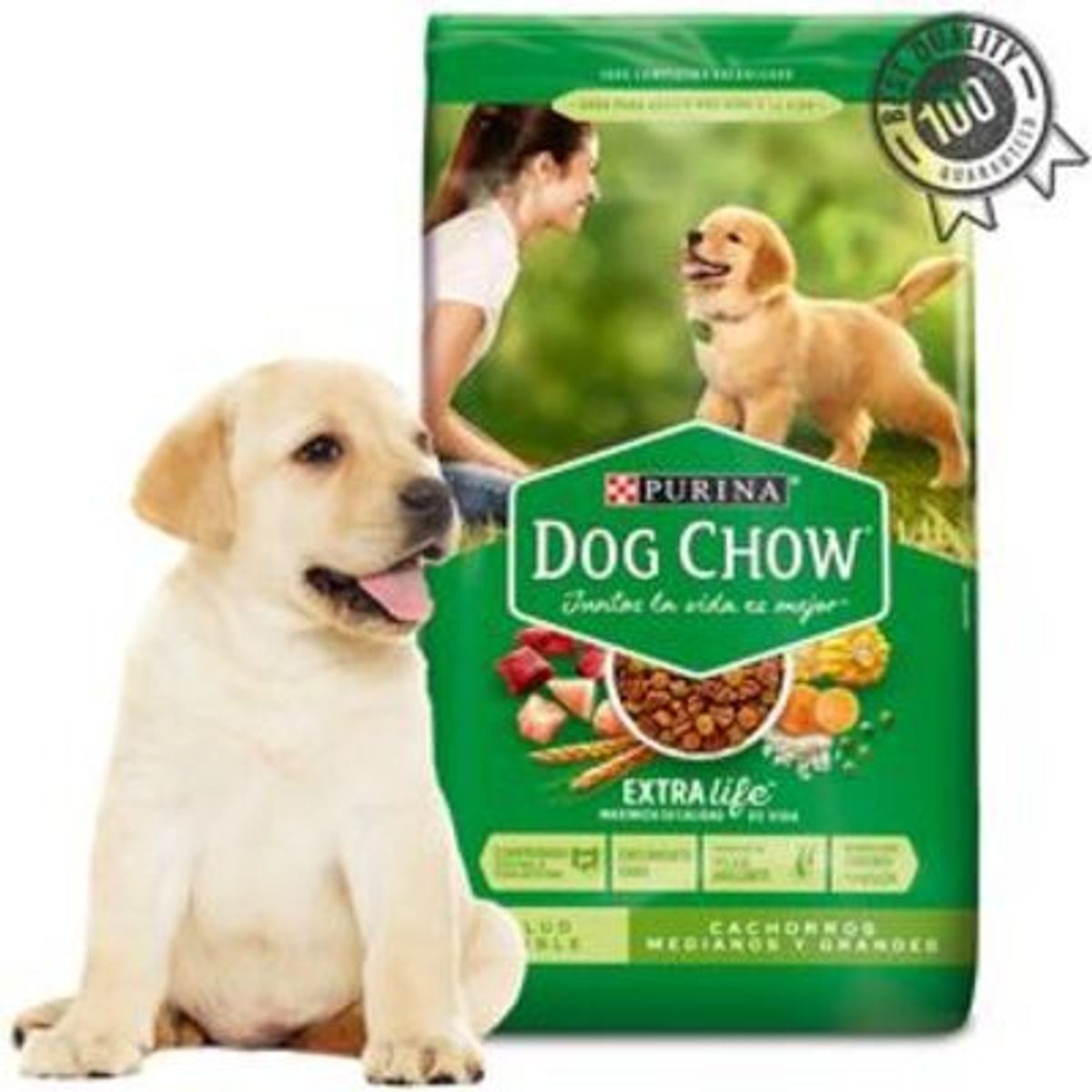 DOG CHOW - DOG CHOW GRAN COMIENZO CACHORROS MEDIANOS Y GRANDES