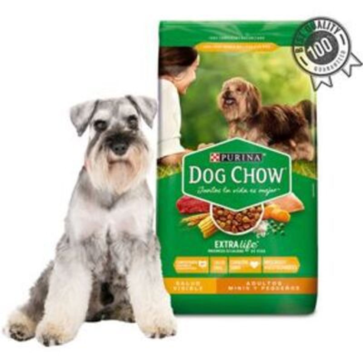 DOG CHOW - DOG CHOW SALUD VISIBLE ADULTOS MINIS Y PEQUEÑOS