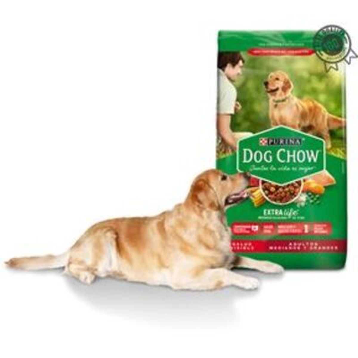 DOG CHOW - DOG CHOW Adultos Medianos y grandes