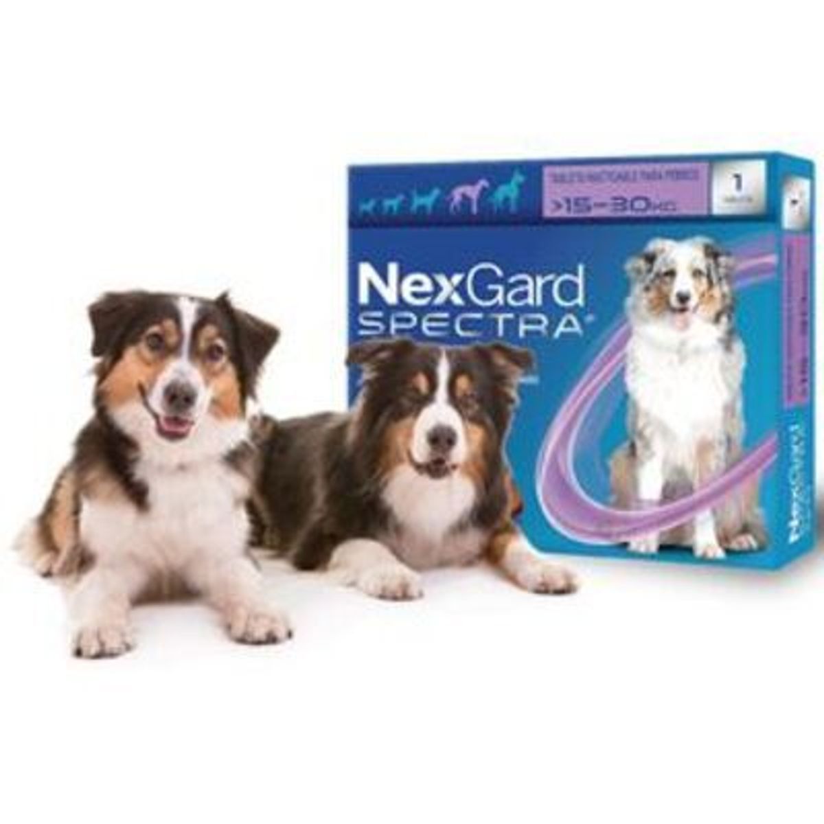 BOEHRINGER INGELHEIM - Nexgard spectra xs 15 a 30 kg