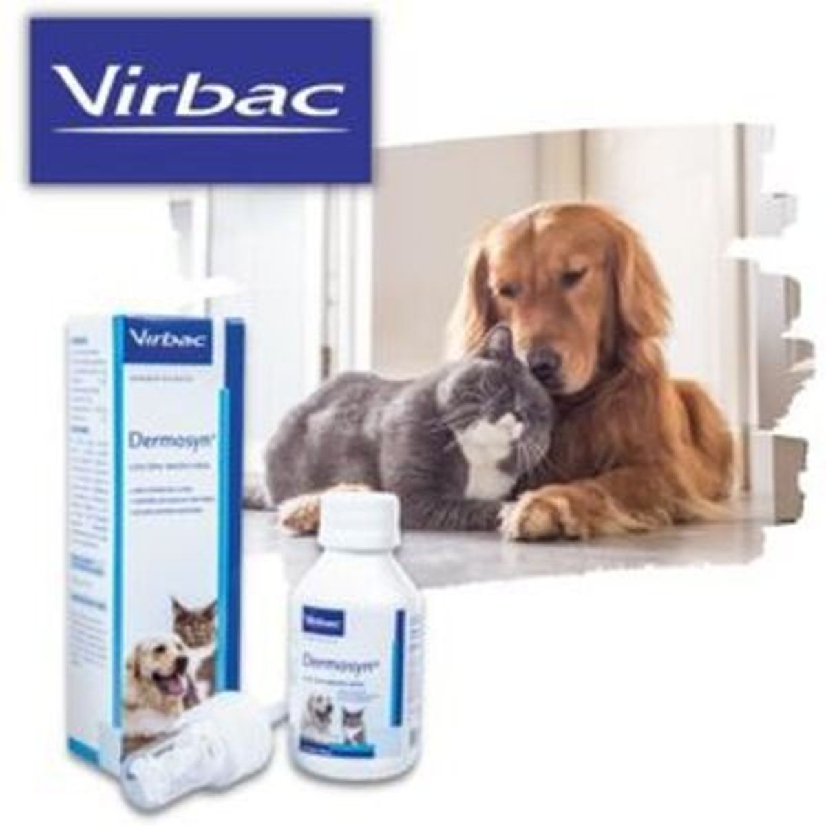 VIRBAC - DERMOSYN SPRAY X 100 ML