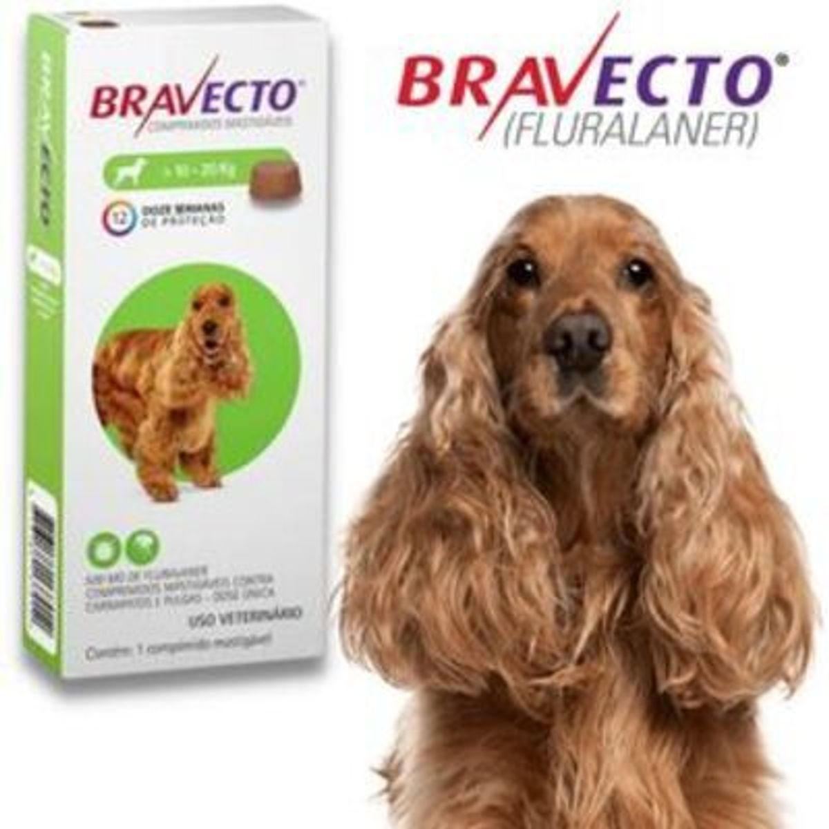 BRAVECTO - Antipulgas BRAVECTO SPOT 10 - 20 KLS