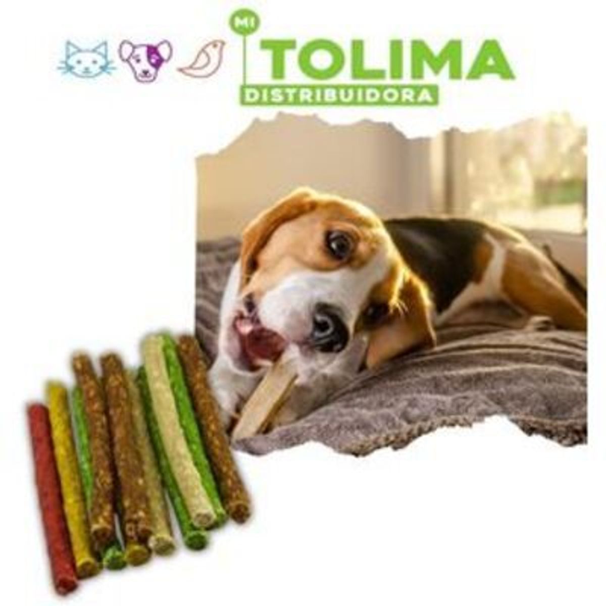 DOG CHOW - CARNAZA CABANOS 1  Kg MI TOLIMA