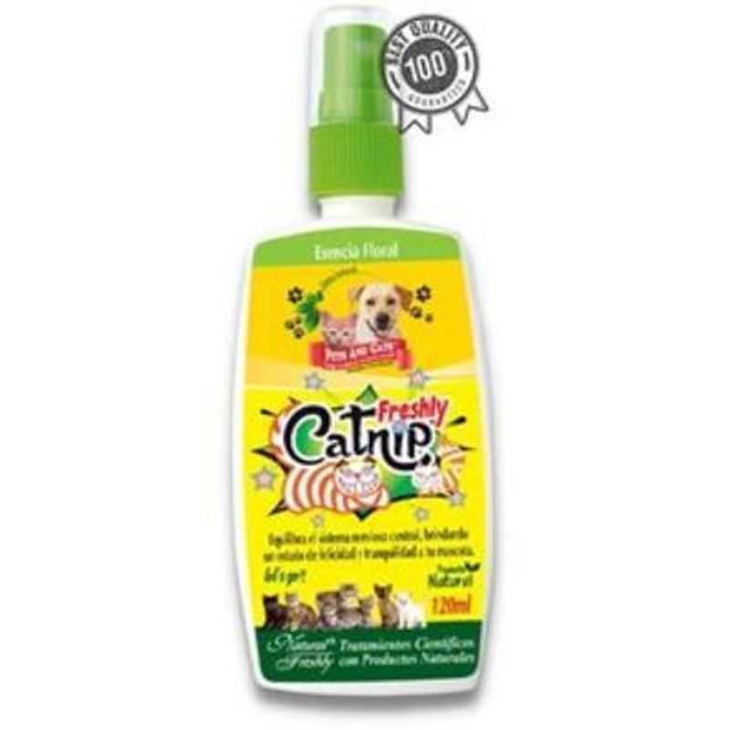 NATURAL FRESHLY - CATNIP FRESHLY PARA GATO