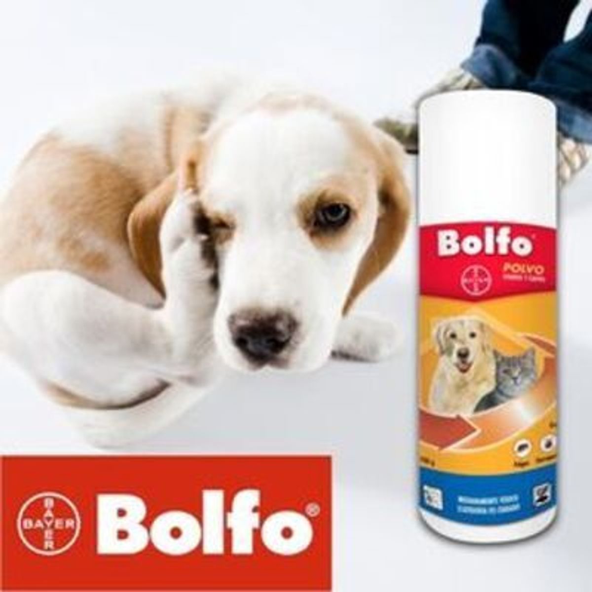 BAYER - TALCO BOLFO X 100GR