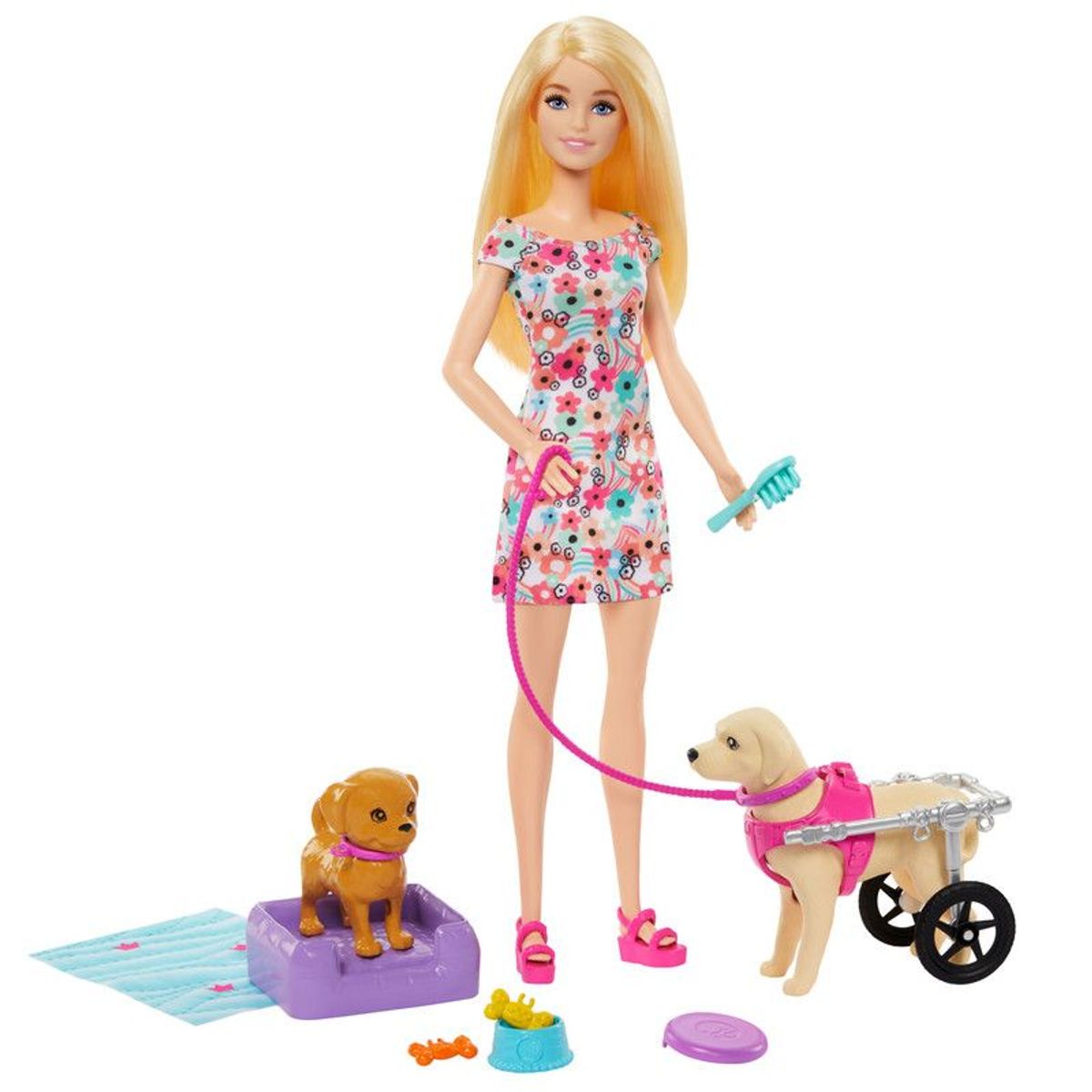 BARBIE - Muñeca Barbie Paseo Con Perrito En Silla De Ruedas