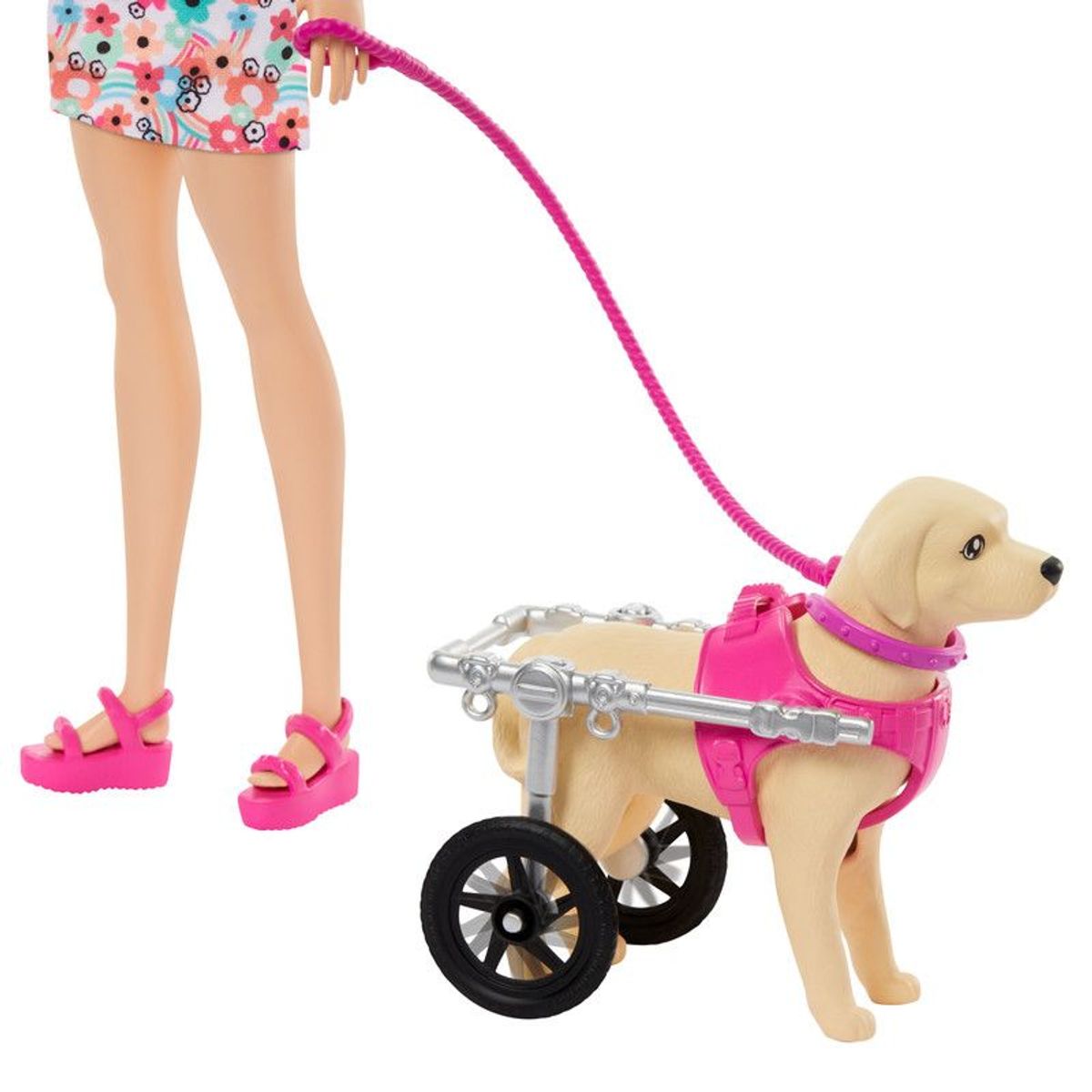 BARBIE - Muñeca Barbie Paseo Con Perrito En Silla De Ruedas