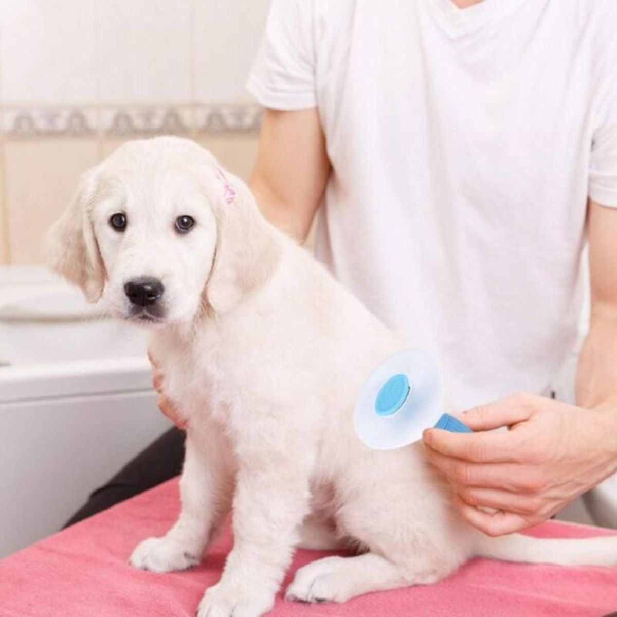 GENERICO - Peine para mascotas cepillo quita nudos perros gatos