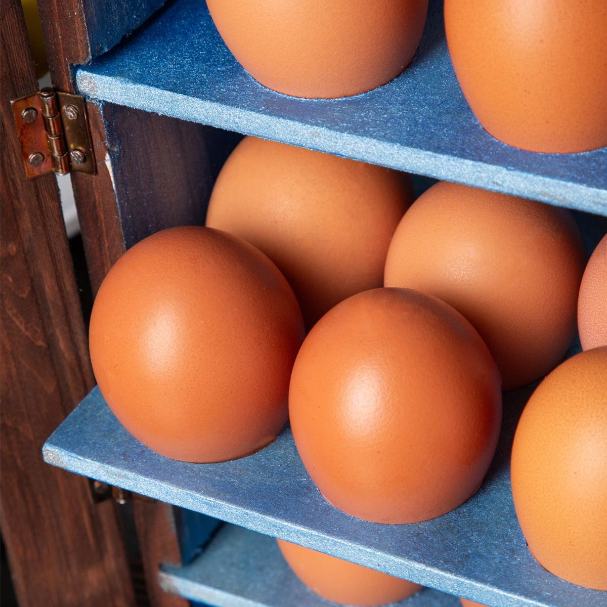 GENERICO - Huevera Organizador en Madera tipo Casa X 30 Unidades INCO 03 Azul