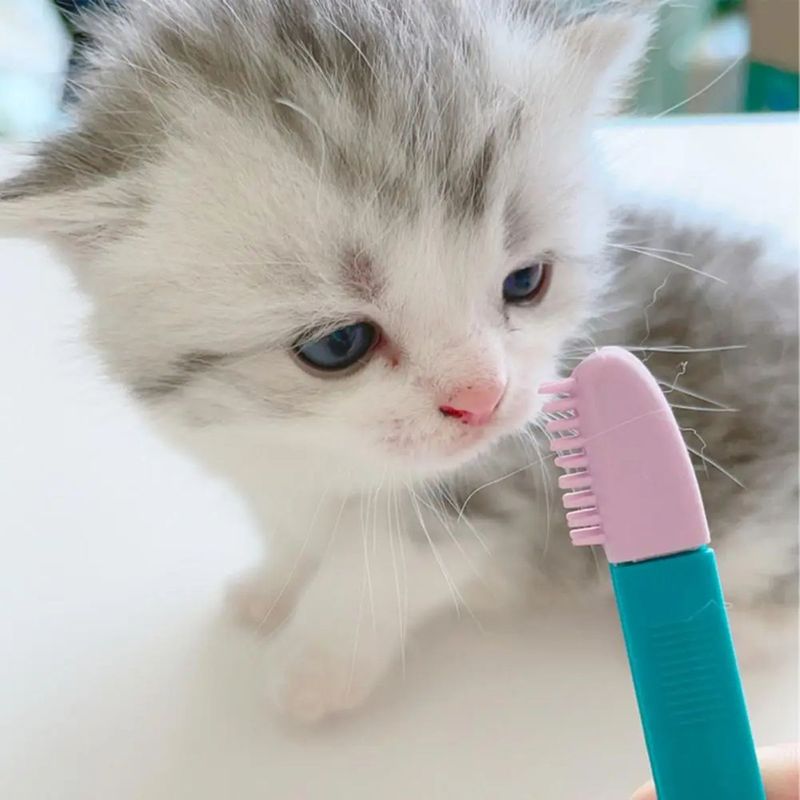GENERICO - Cepillo De Limpieza De Ojos Gato Peine Para Mascotas