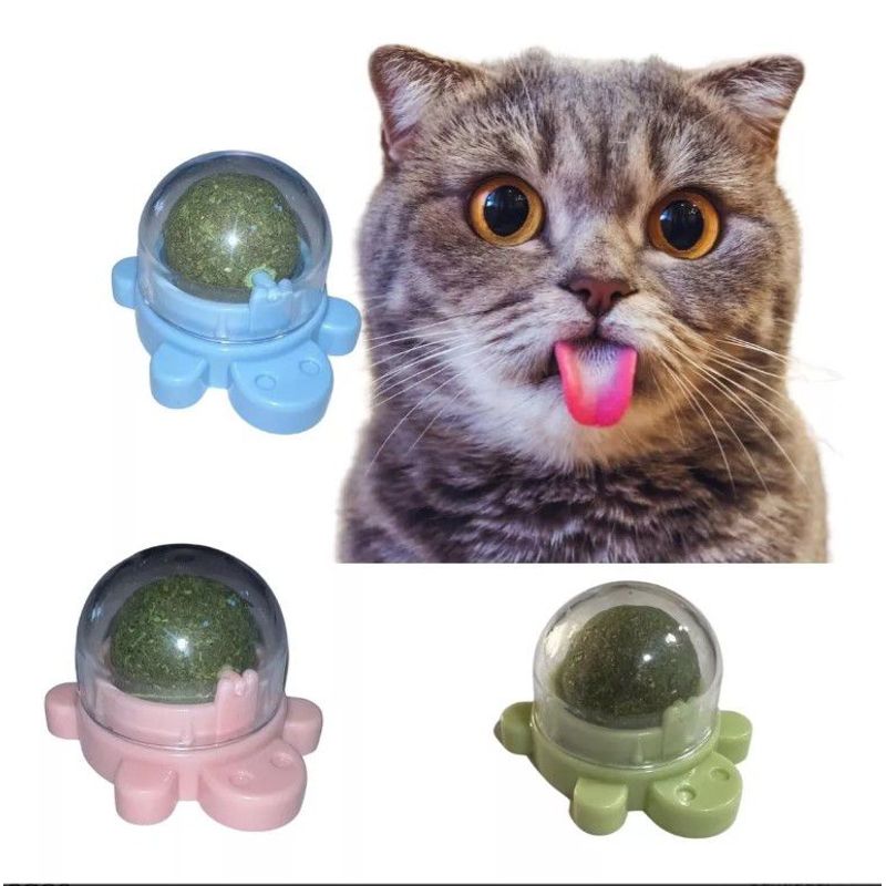 WUUFU - Catnip en forma de tortuga