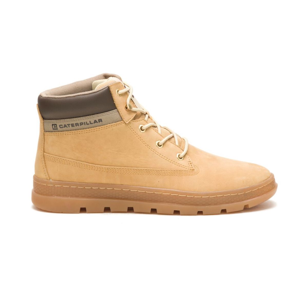 CAT - Botin Arena CITE P111268-GCL CAT