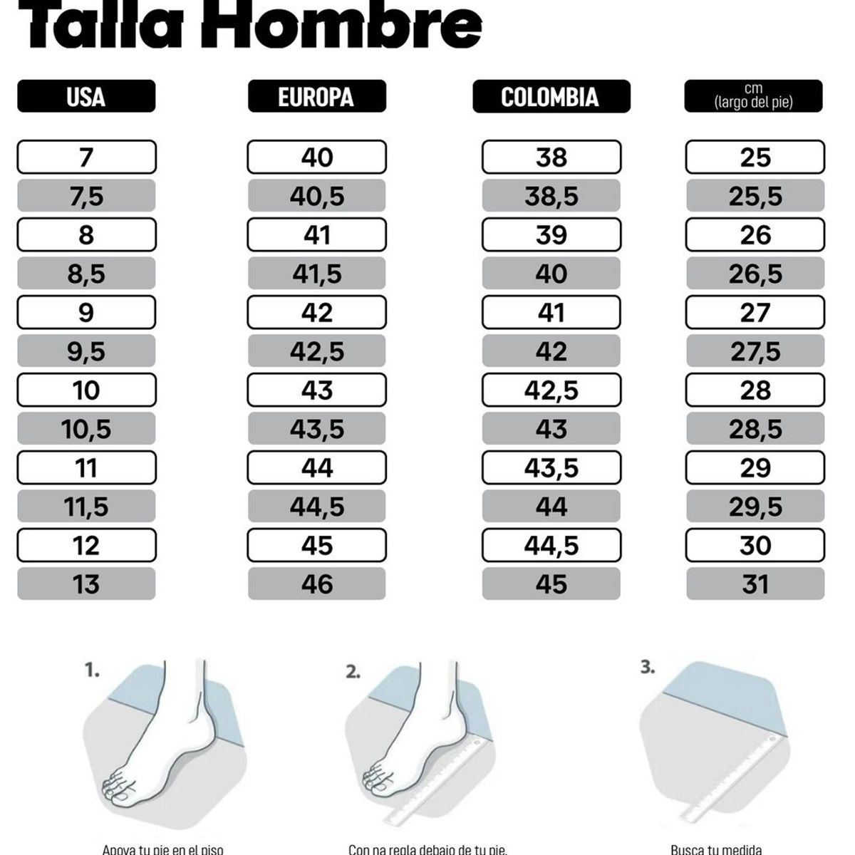 CAT - Botin Arena CITE P111268-GCL CAT