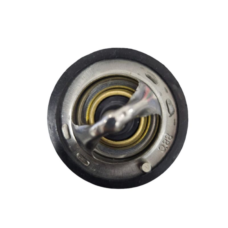GENERICO - TERMOSTATO TEMPERATURA  HYUNDAI I 10 1,1/EON.