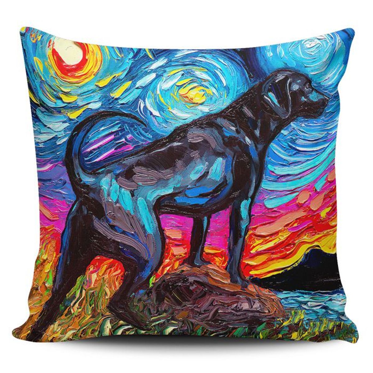 TAYRONA STORE - Funda Cojin Sin Relleno Noche Estrellada Perro Black Labrador 02