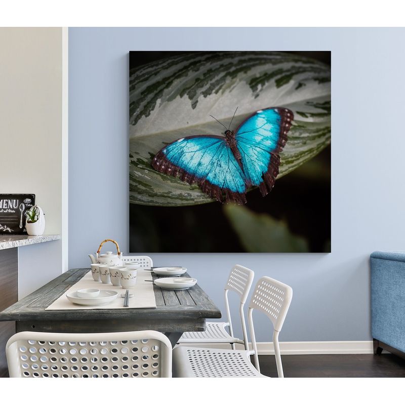 TAYRONA STORE - Cuadro En Lienzo Para Comedor Mariposas 214 50x50cm