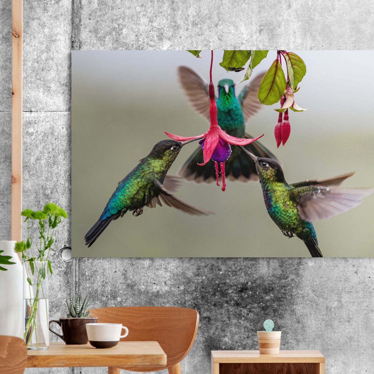 TAYRONA STORE - Cuadro En Lienzo Para Comedor Colibri 035 50x35cm