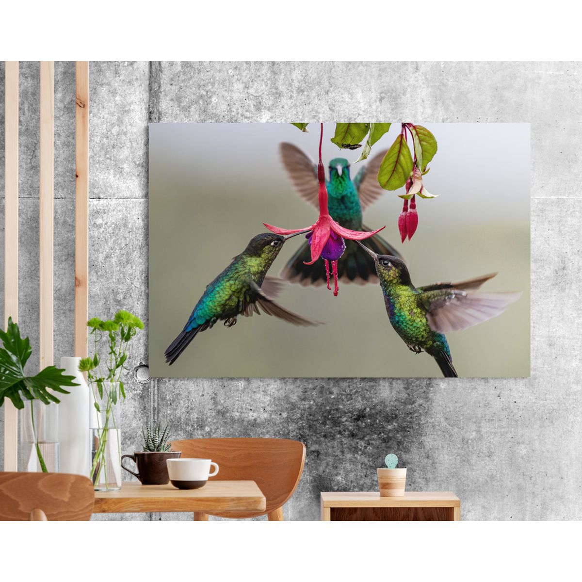 TAYRONA STORE - Cuadro En Lienzo Para Comedor Colibri 035 50x35cm