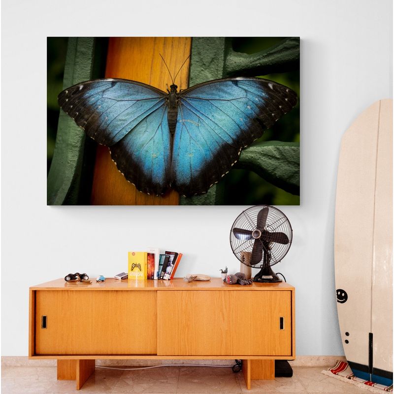 TAYRONA STORE - Cuadro En Lienzo Para Comedor Mariposas 210 150x100cm