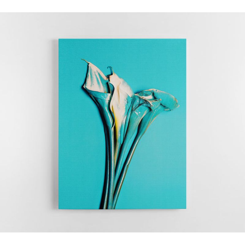 TAYRONA STORE - Cuadro En Lienzo Para Comedor Flores 139 30x40cm