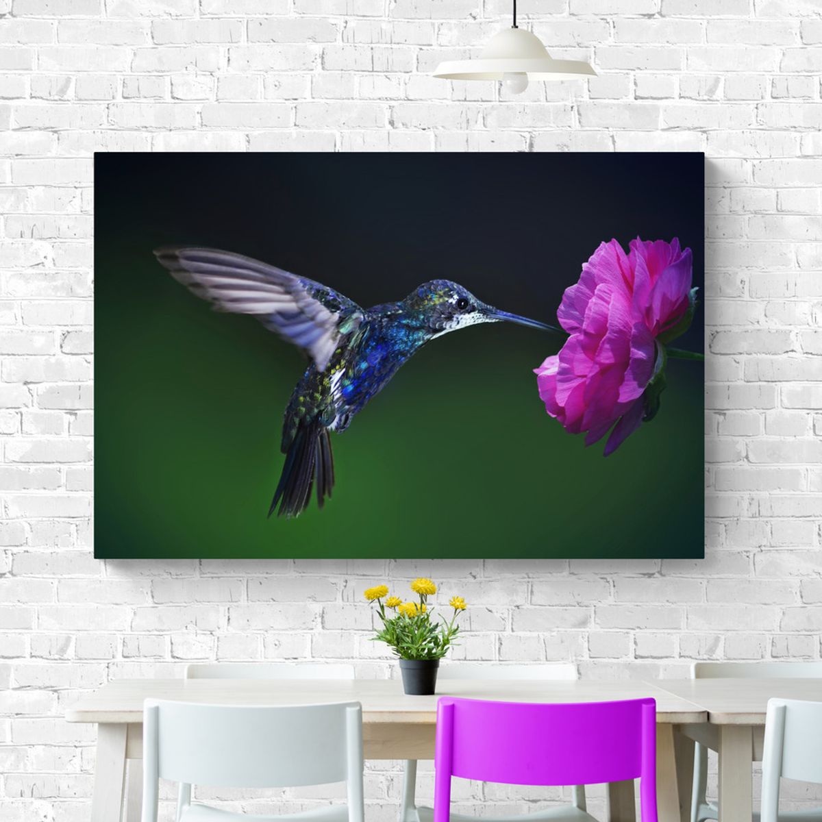 TAYRONA STORE - Cuadro En Lienzo Para Comedor Colibri 056 70x50cm.