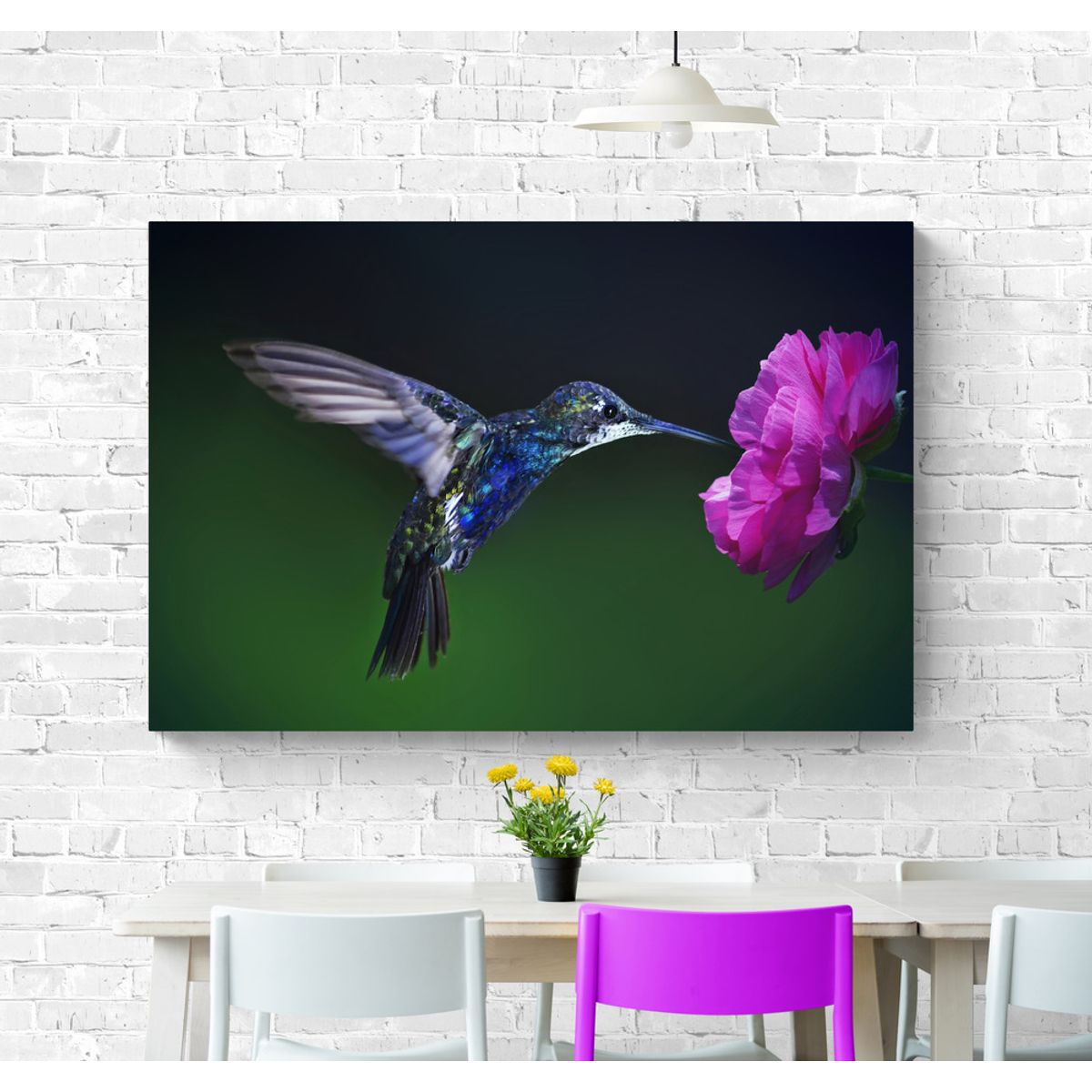 TAYRONA STORE - Cuadro En Lienzo Para Comedor Colibri 056 70x50cm.