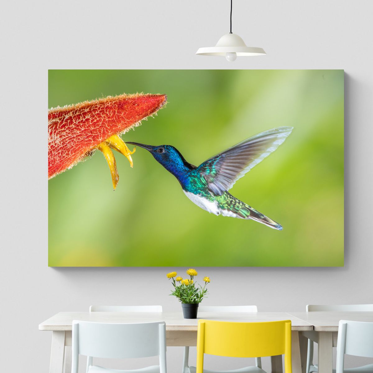 TAYRONA STORE - Cuadro En Lienzo Para Comedor Colibri 036 120x80cm