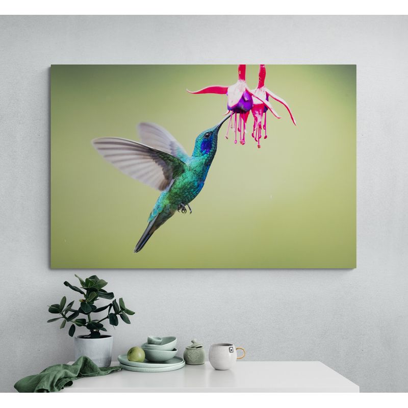 TAYRONA STORE - Cuadro En Lienzo Para Comedor Colibri 039 100x70cm
