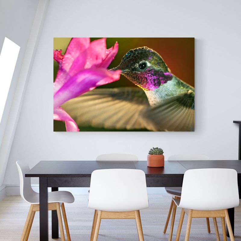 TAYRONA STORE - Cuadro En Lienzo Para Comedor Colibri 050 50x35cm