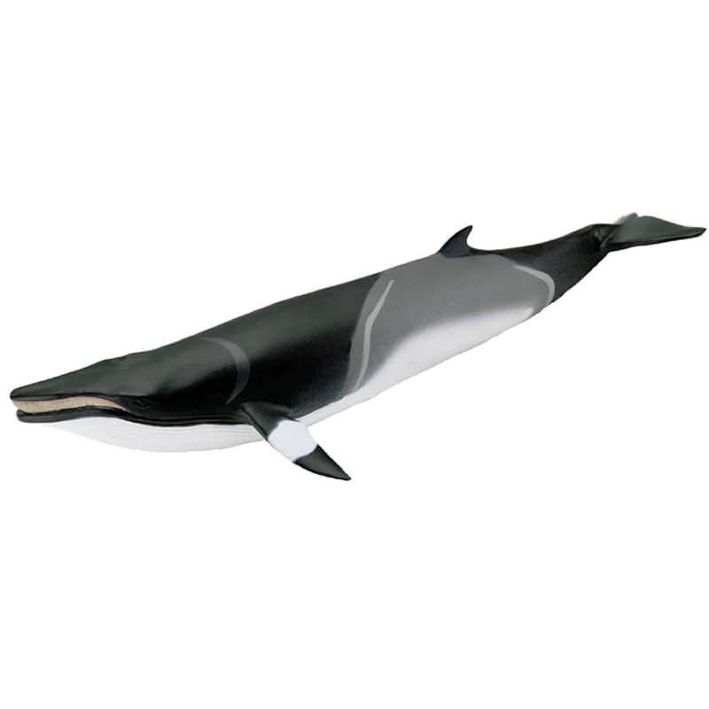 SAFARI - Figura Coleccionable Ballena Minke Safari