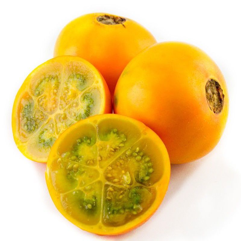GENERICO - Semillas Lulo Jardin Fruta Cultivo Planta Planta