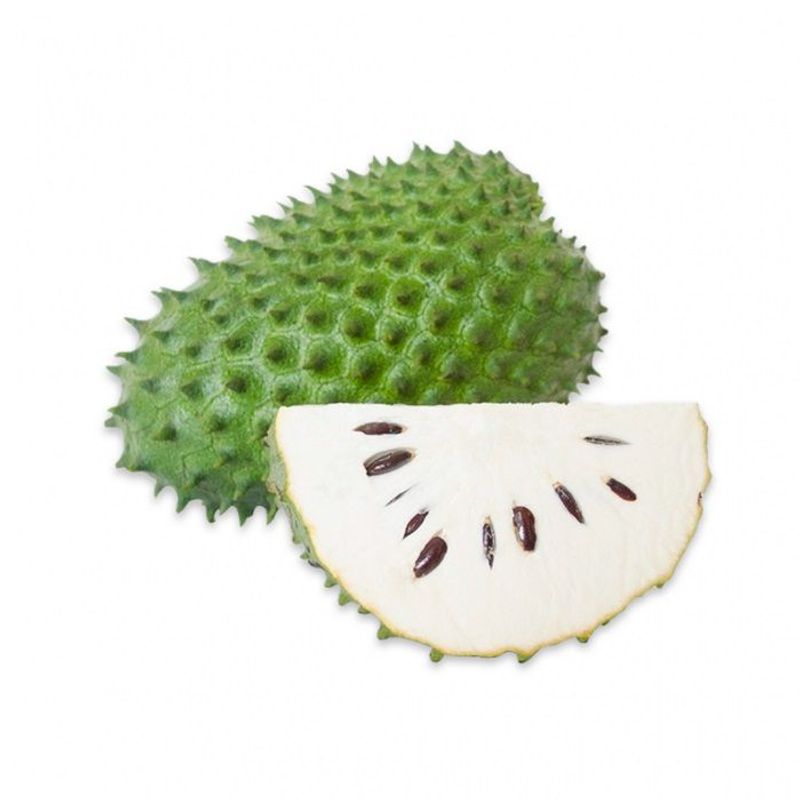 GENERICO - Semillas Guanabana Fruta Arbol Jardin Cultivo Planta