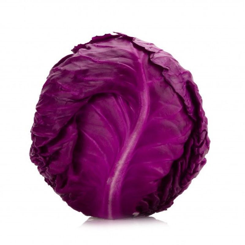 GENERICO - Semillas Repollo Morado Cultivo Culinario Jardin Hortaliza