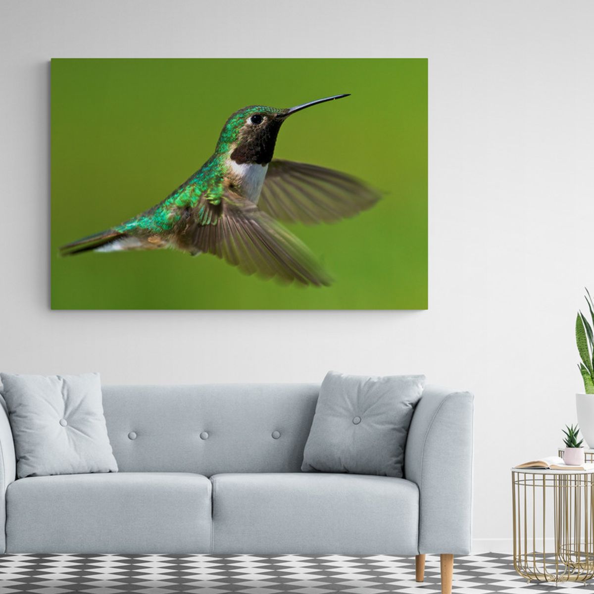 TAYRONA STORE - Cuadro En Lienzo Para La Sala Colibri 023 100x70cm