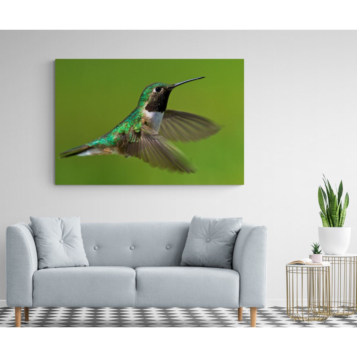 TAYRONA STORE - Cuadro En Lienzo Para La Sala Colibri 023 100x70cm