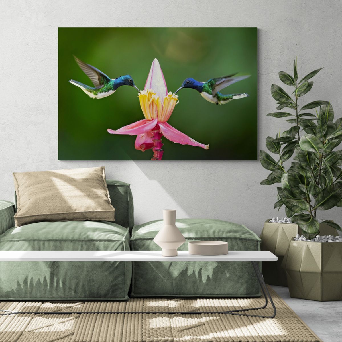 TAYRONA STORE - Cuadro En Lienzo Para La Sala Colibri 041 100x70cm
