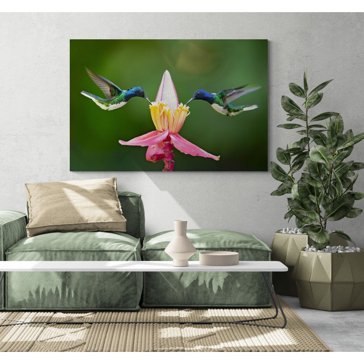 TAYRONA STORE - Cuadro En Lienzo Para La Sala Colibri 041 100x70cm