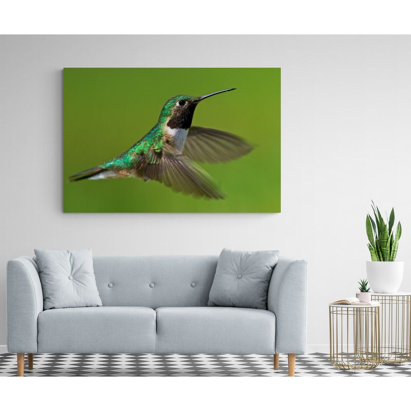 TAYRONA STORE - Cuadro En Lienzo Para La Sala Colibri 023 150x100cm