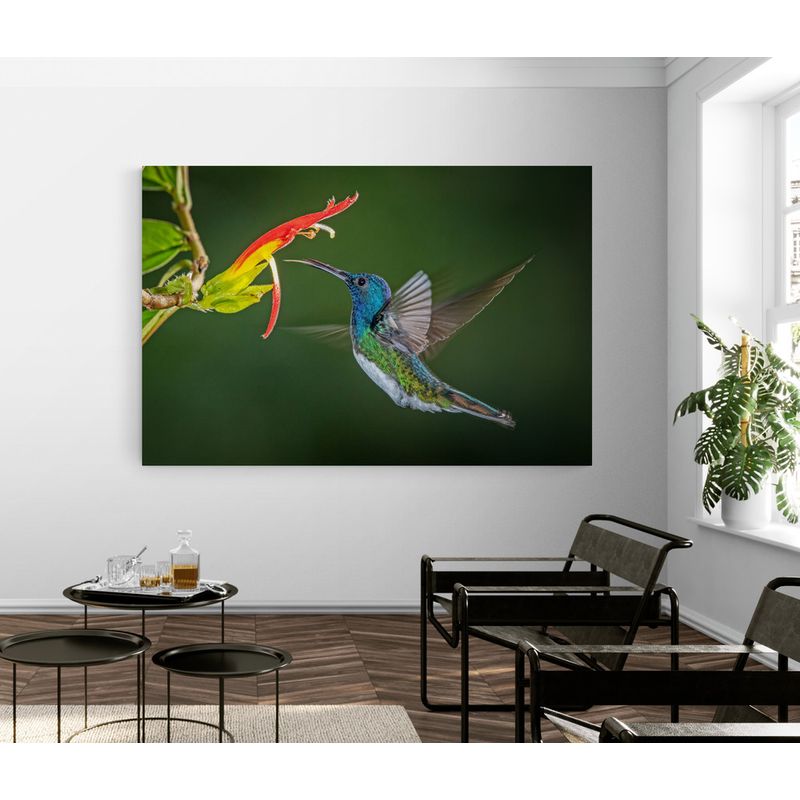 TAYRONA STORE - Cuadro En Lienzo Para La Sala Colibri 037 100x70cm