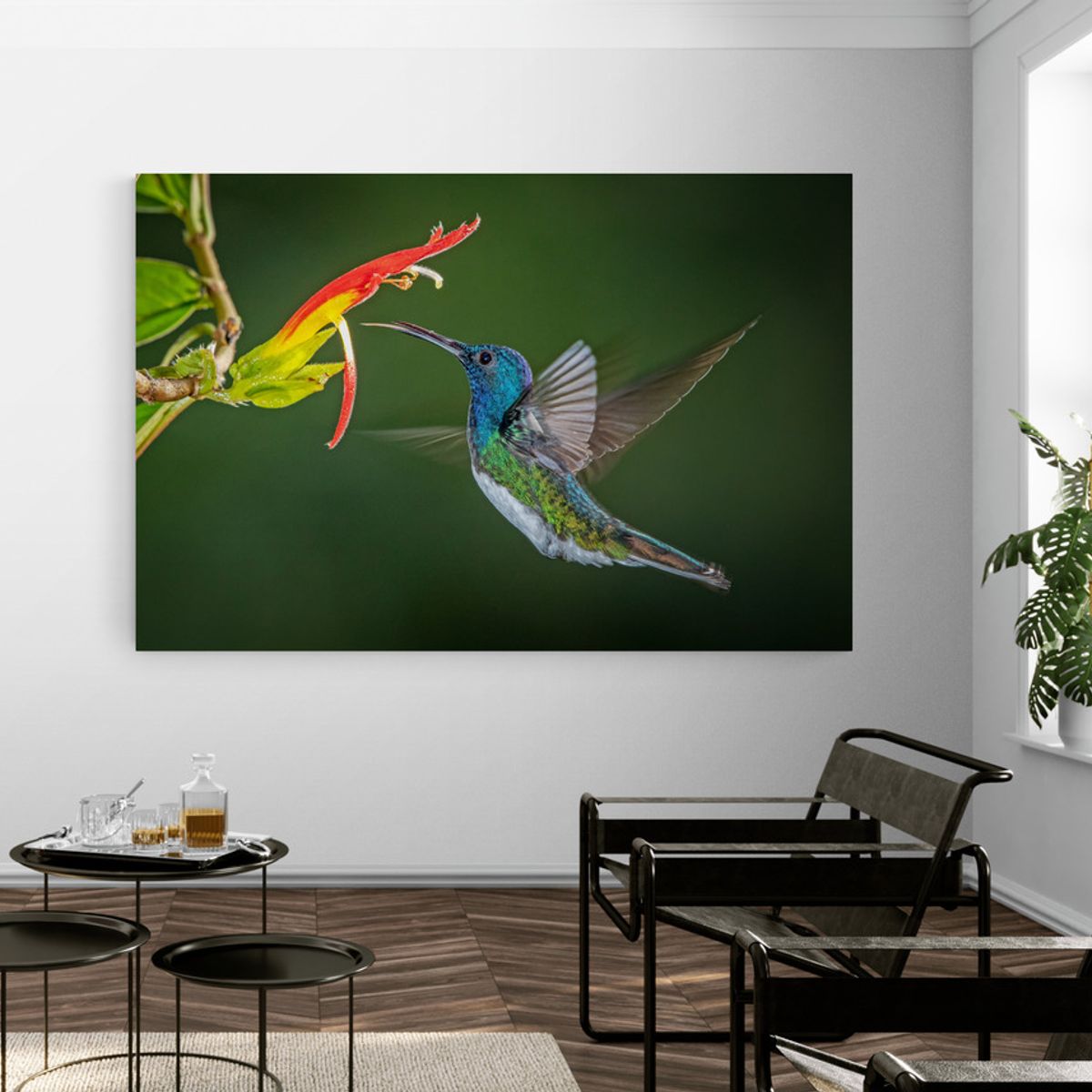 TAYRONA STORE - Cuadro En Lienzo Para La Sala Colibri 037 150x100cm