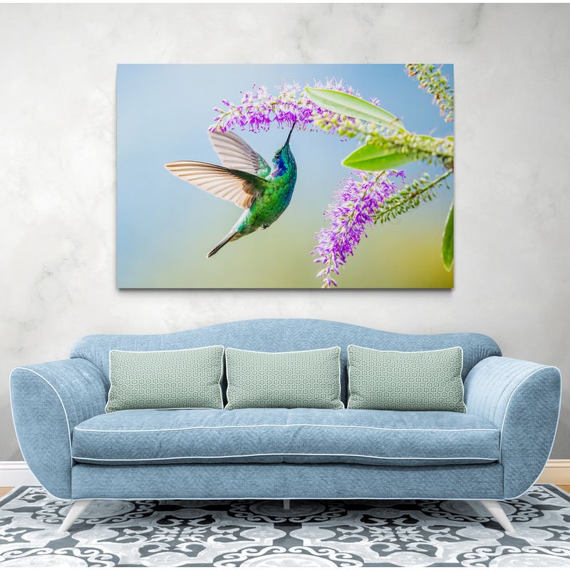 TAYRONA STORE - Cuadro En Lienzo Para La Sala Colibri 047 100x70cm