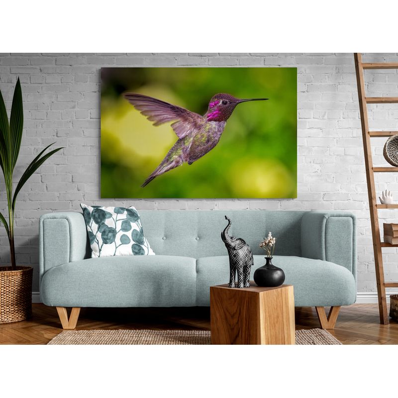 TAYRONA STORE - Cuadro En Lienzo Para La Sala Colibri 054 150x100cm
