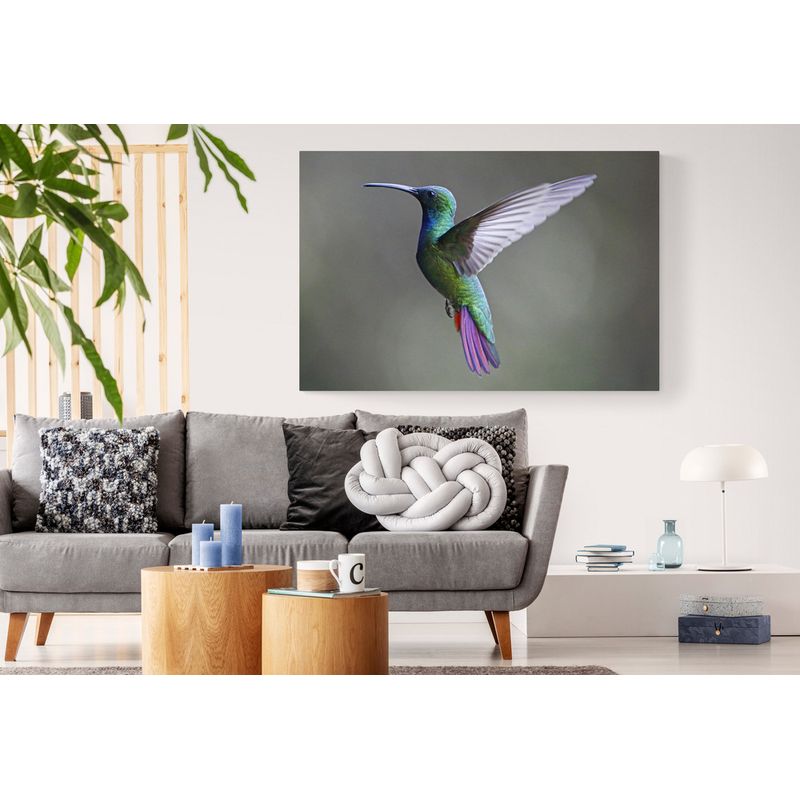 TAYRONA STORE - Cuadro En Lienzo Para La Sala Colibri 059 120x80cm