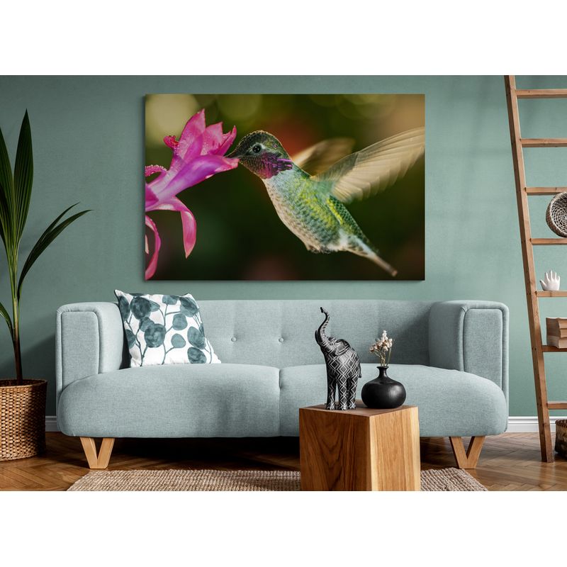 TAYRONA STORE - Cuadro En Lienzo Para La Sala Colibri 055 70x50cm
