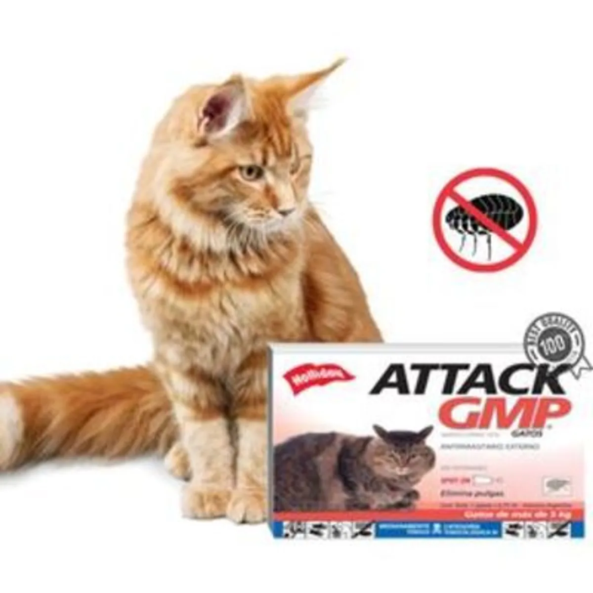 HOLLIDAY - ATTACK GATOS PIPETA CONTROL PULGAS  075ML