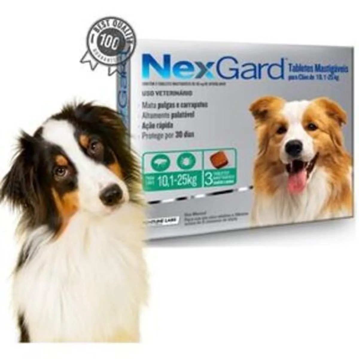 BOEHRINGER INGELHEIM - NEXGARD Afoxolaner PERROS 10-25 KG