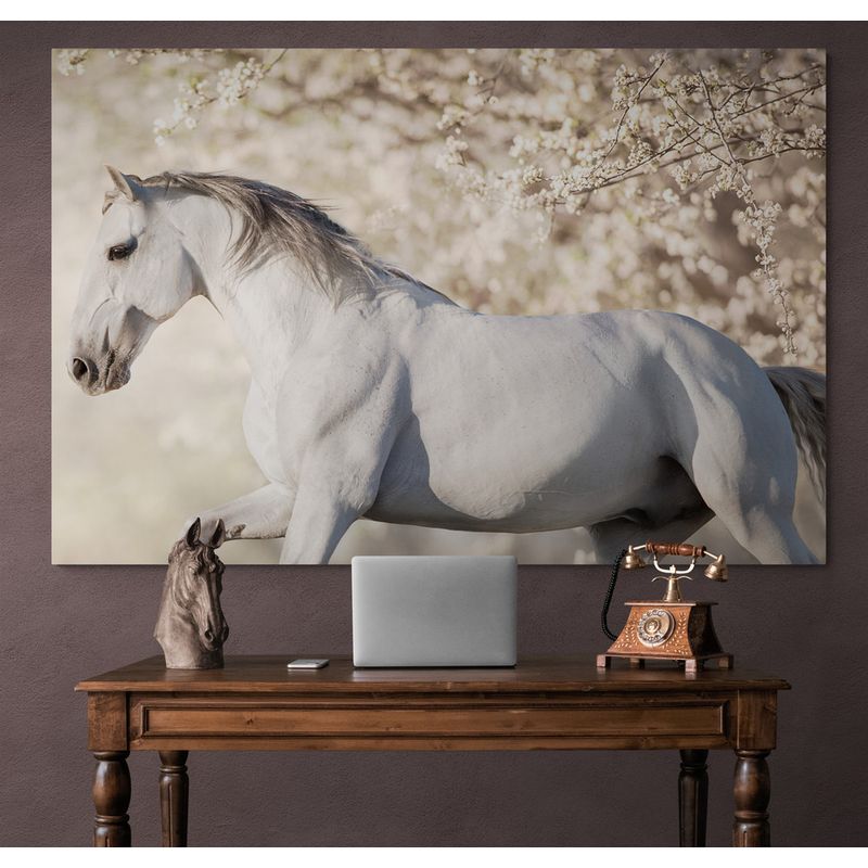 TAYRONA STORE - Cuadro En Lienzo Para Habitaciones Caballos 149 70x50cm