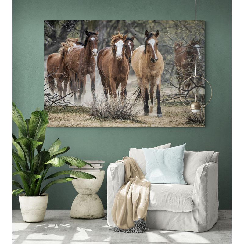 TAYRONA STORE - Cuadro En Lienzo Para Habitaciones Caballos 147 50x35cm