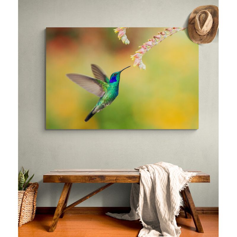 TAYRONA STORE - Cuadro En Lienzo Para Habitaciones Colibri 032 100x70cm