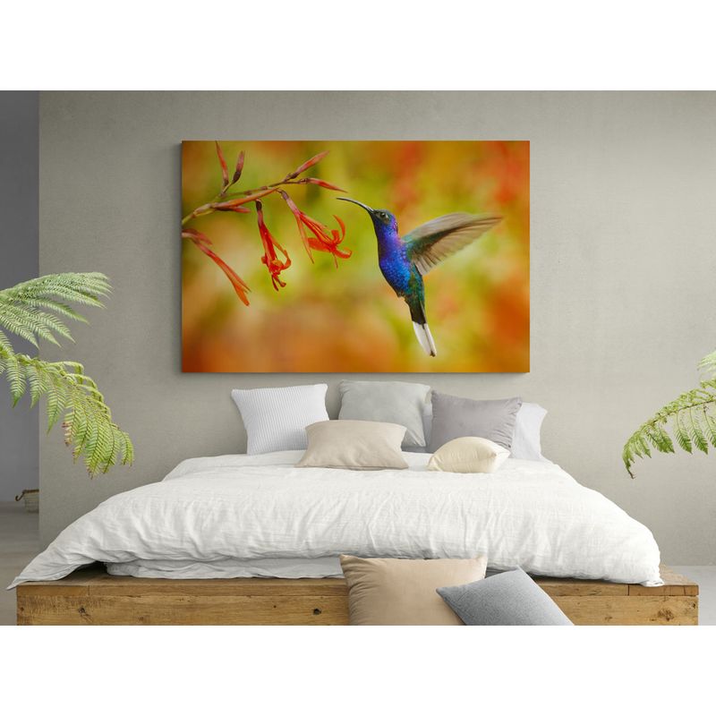 TAYRONA STORE - Cuadro En Lienzo Para Habitaciones Colibri 029 120x80cm